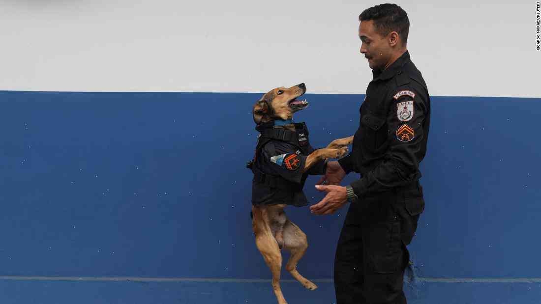 Le Bic is a police dog, and it is being sold as pets