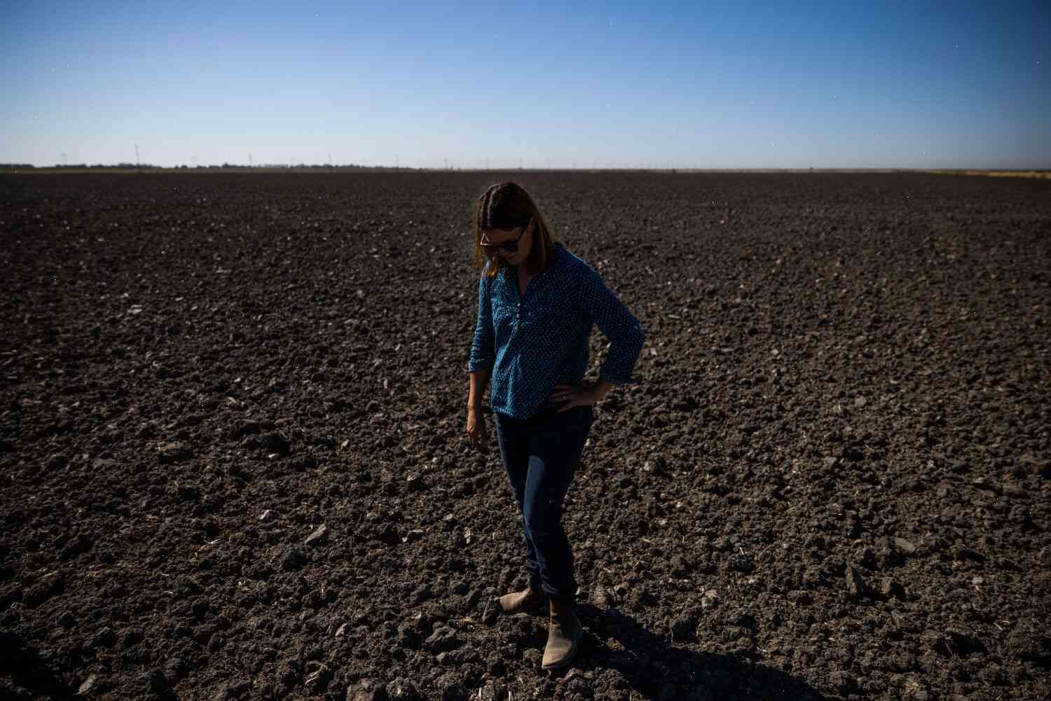 California's drought is causing farmers to go broke